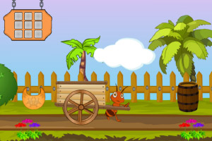 ��Ⱥ�����