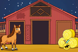 ������ʦ����