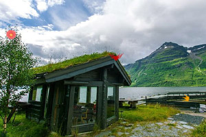 �ɰ����Ĵ�����