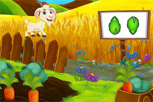 ��Ԯ������