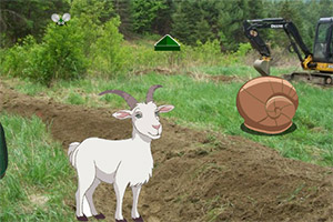 ��Ԯɽ��ĺ���