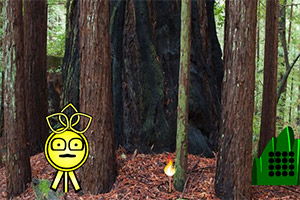 ���뻨԰����