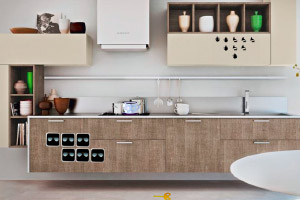 �����Ե�����