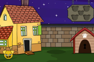 ����è������