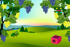 ˫��������