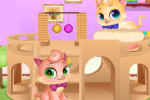 ����Сè����