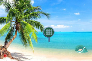 Ѱ��ʧ�ٵ�����