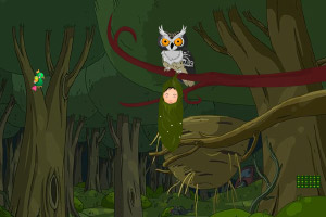 ����С��Ů