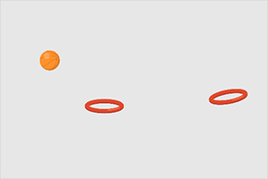 ����Ͷ��