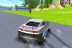 ���޼���Ư��