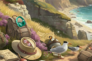 �Ĵ�����̽��