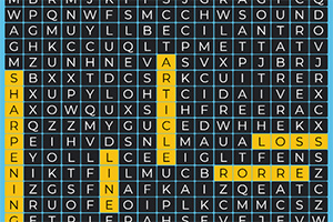 ����������ս