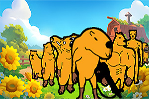 ��Ƥ����������