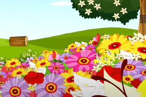 Ѱ����ɢ�Ľ��