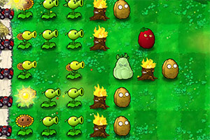 �ӽ�ֲ���ս��ʬ