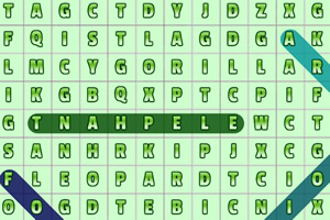 ��ĸ��Ķ��ﵥ��