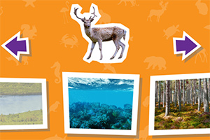 ������Ϣ��