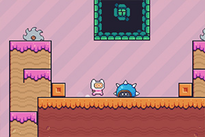 ���ܵİ���